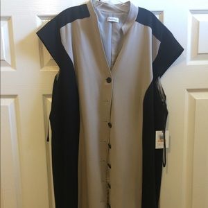 Elegant Calvin Klein button down dress!